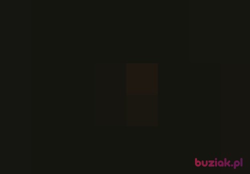 BigBoss97, Male, 27 years, Kraków