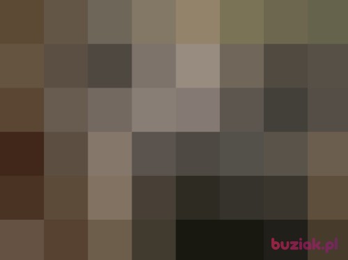 mariuszb2, Male, 54 years, Haarlem North Holland Province