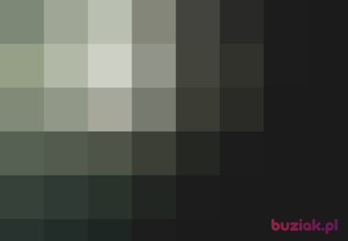 roco1, Male, 42 years, Kalisz