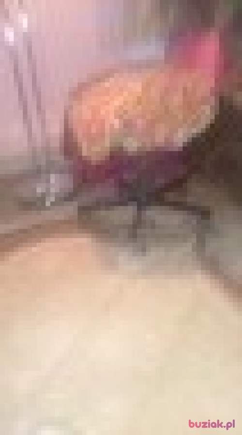 jazbigniew2, Male, 46 years, Lubań
