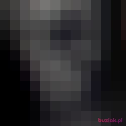 komdziu, Male, 22 years, Breda