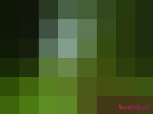 bunia30, Female, 48 years, Brzesko