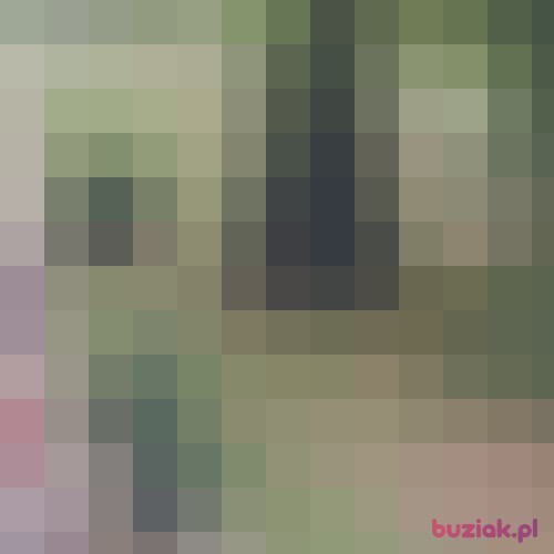 kanka123, Male, 31 years, Kartuzy