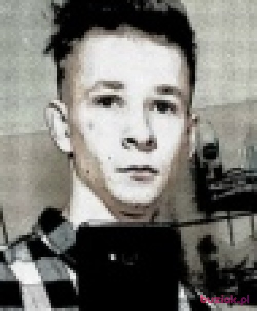krystek253, Male, 27 years, Słupsk