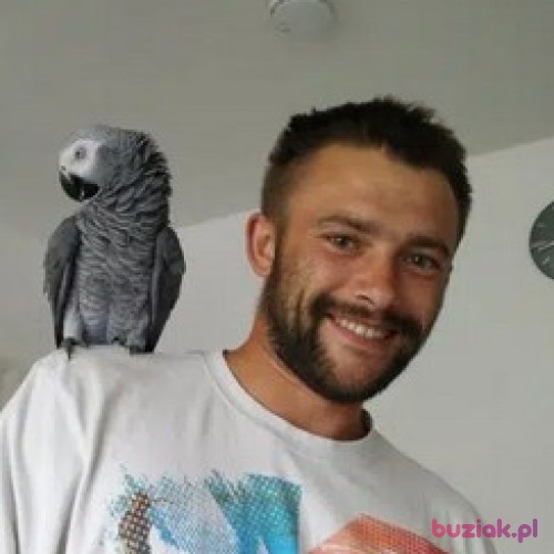 Przemek86PL, Male, 38 years, Kingston upon Hull