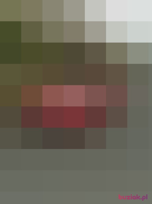 Corrdoba, Male, 41 years, Jasło