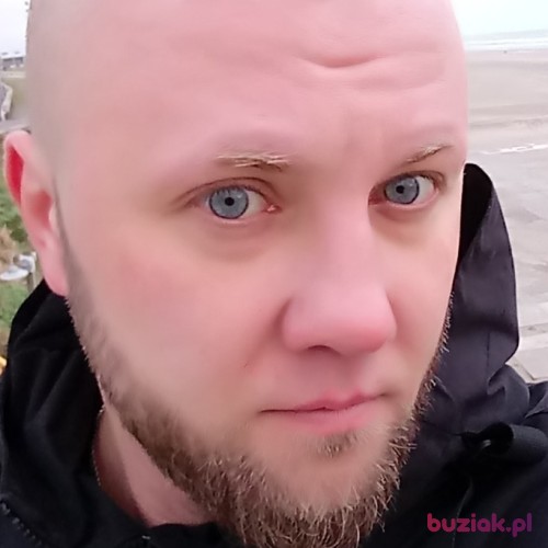 walecznydea, Male, 39 years, Groningen