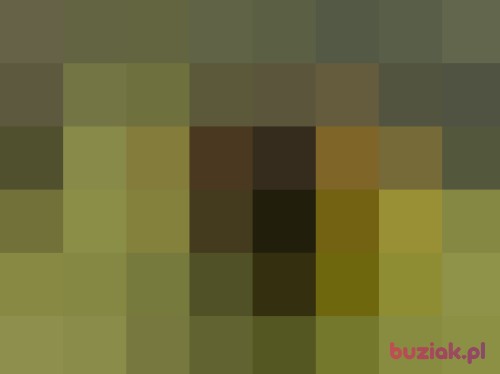 wstup, Male, 54 years, Gorzów Wielkopolski