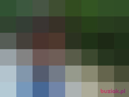 audaf, Male, 30 years, Bydgoszcz