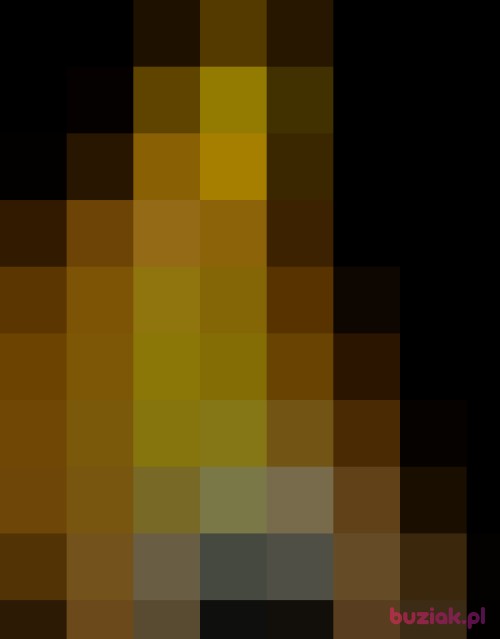 olivier91, Male, 34 years, lubelskie