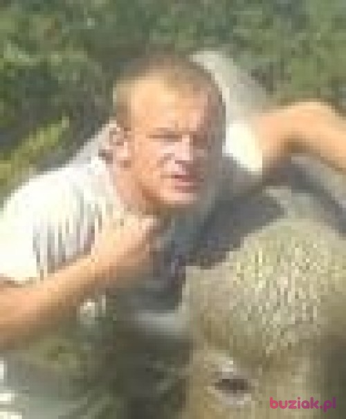 gondek2, Mężczyzna, 36 lat, Gogolin