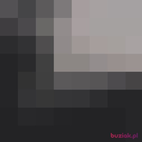 Dawid256, Male, 23 years, Poznań
