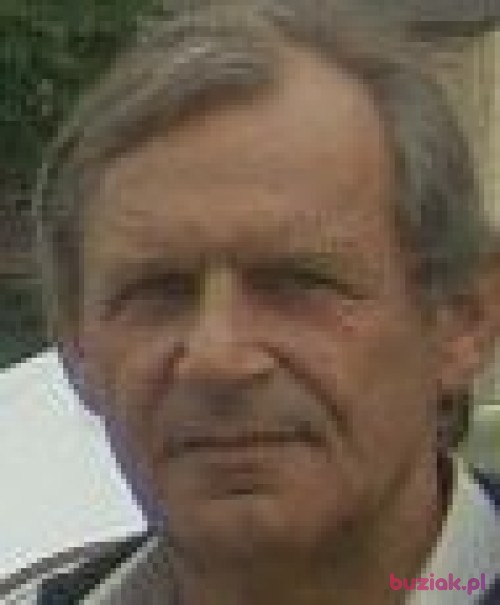 niepokorny099, Mężczyzna, 71 lat, dolnośląskie