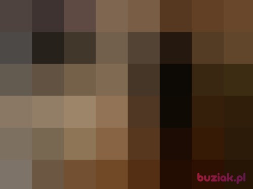 LadyBB, Female, 55 years, Katowice