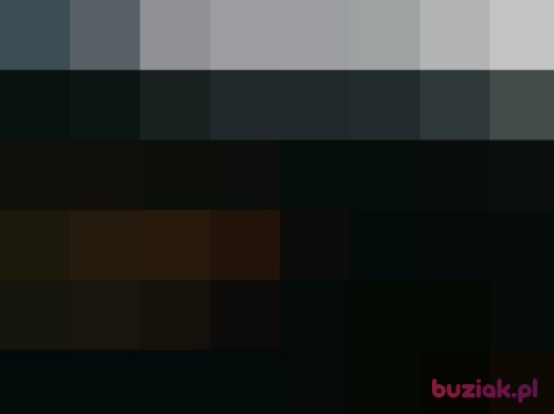 Wirtualny100, Male, 44 years, Konin