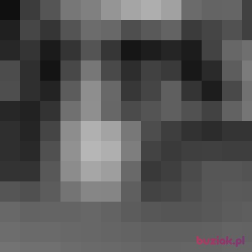 Oskarek2007, Mężczyzna, 20 lat, Warszawa