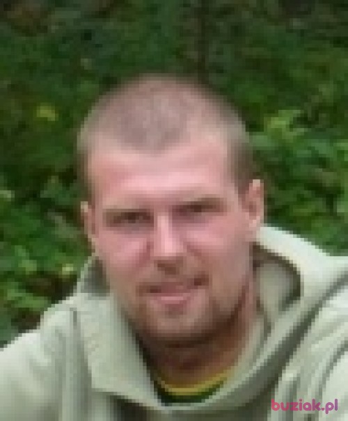 Gizmondo, Male, 35 years, Wrocław