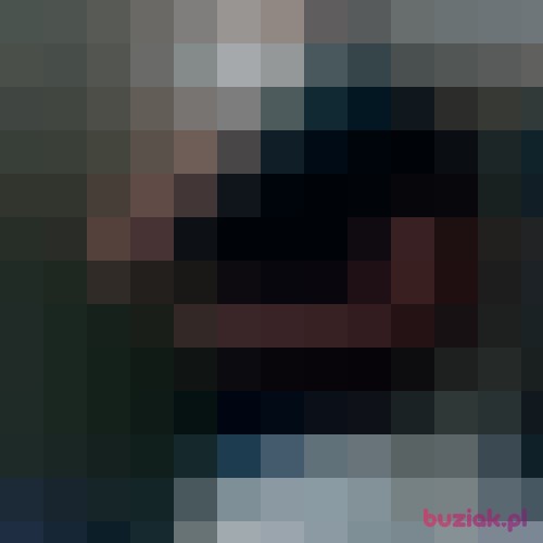 leirbag, Male, 33 years, Haarlem North Holland Province