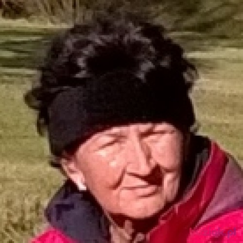 terhena, Kobieta, 68 lat, Dąbrowa Górnicza