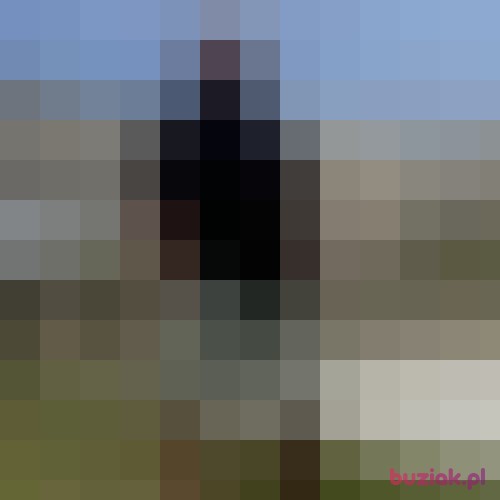 sk74, Mężczyzna, 51 lat, Plymouth