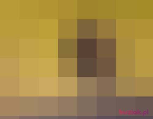edisuper, Male, 41 years, Konstantynów Łódzki