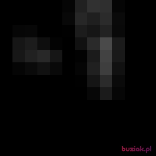 borsuk2438, Male, 26 years, Sandomierz