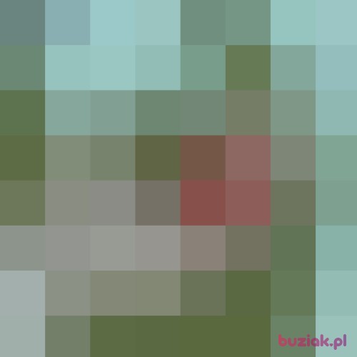 patatajlesny, Male, 41 years, dolnośląskie