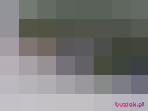 Chcialbym, Male, 55 years, Warszawa