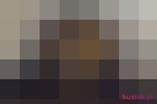 David97, Male, 28 years, Gniezno