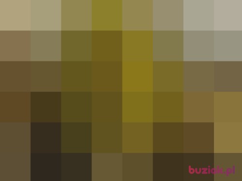 pasterk, Male, 56 years, Opole
