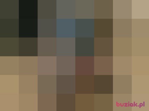 SAMOONWZP, Male, 45 years, Zielona Góra