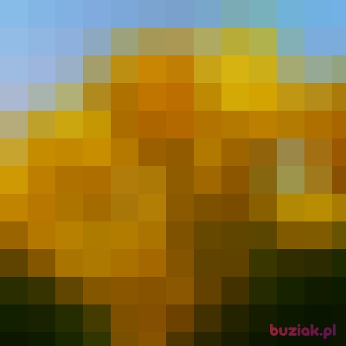 pawelpociask, Male, 24 years, Przemyśl