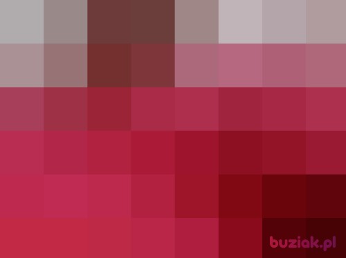 cap, Male, 41 years, Pniewy