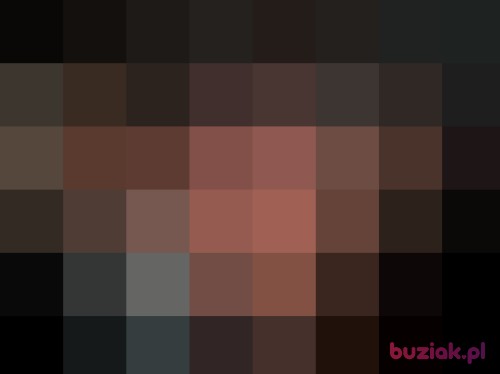 Kakarotto26, Male, 31 years, Rotterdam South Holland Province