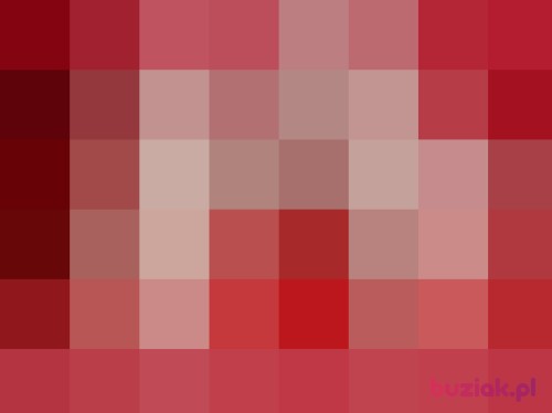 Jan133k, Male, 50 years, Libiąż