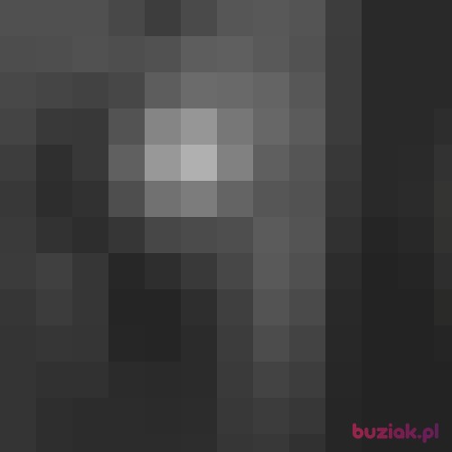 blazejochota, Male, 34 years, Oss North Brabant Province