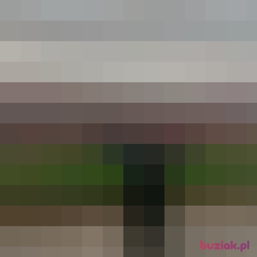Amidamaru0102, Male, 27 years, Lublin