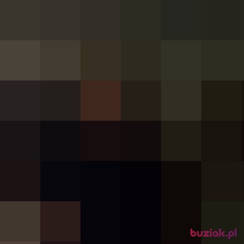 1A-23, Male, 64 years, Bielsko-Biała