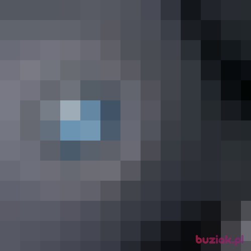 bialydmw, Male, 24 years, Radom
