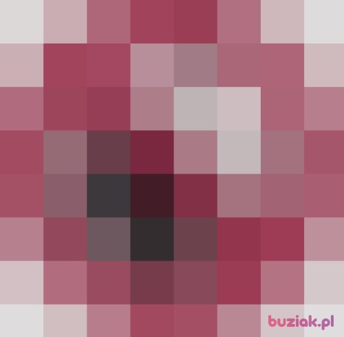 Bogus83, Male, 42 years, Ząbkowice Śląskie