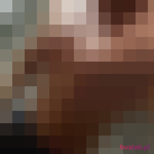 AndrzejBreda, Male, 38 years, Rotterdam South Holland Province