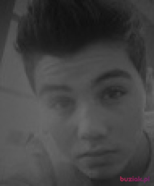 krecikxd, Male, 24 years, Zabrze