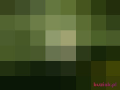 zygmunt53, Male, 72 years, Legnica
