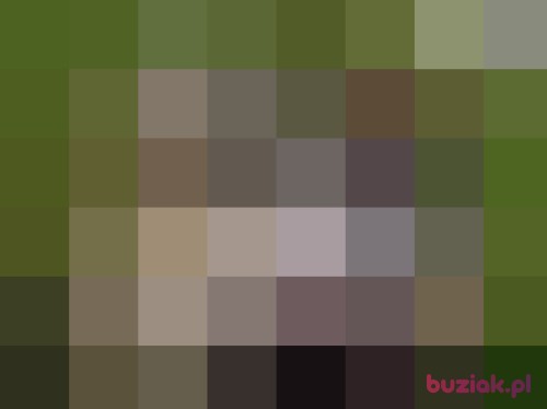 dlaciebie77, Male, 48 years, Kraków