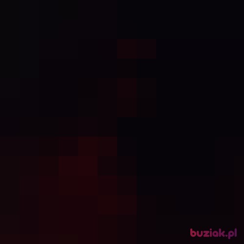 areczek69, Male, 56 years, Łódź