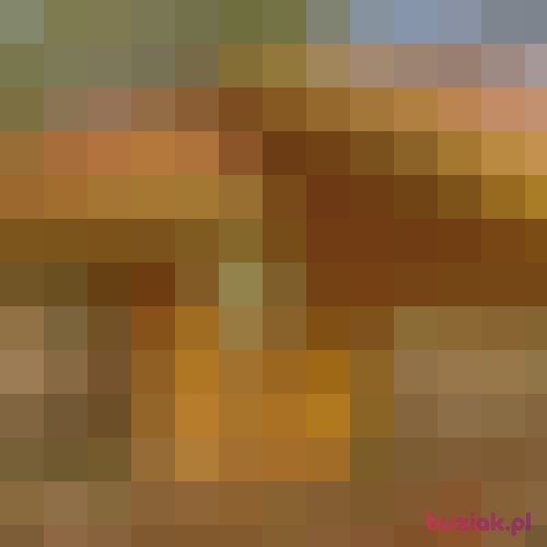 Majka1222, Kobieta, 23 lata, Warszawa