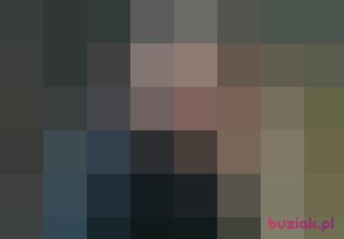 PUDZIAN-51, Male, 60 years, Zelów
