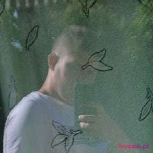 Dawid0524, Mężczyzna, 20 lat, Gostynin