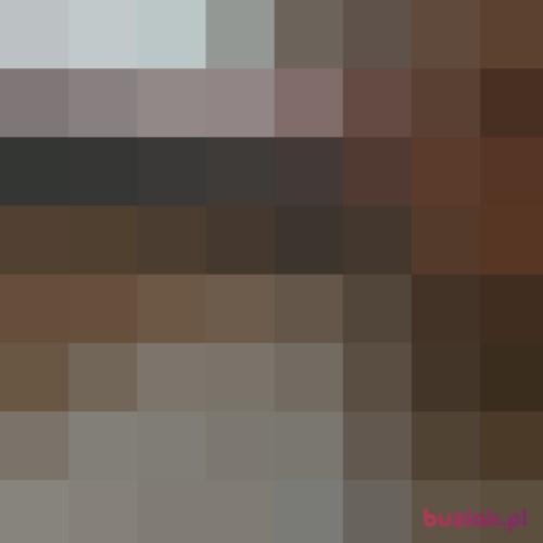 Duzyarti, Male, 52 years, Hannover