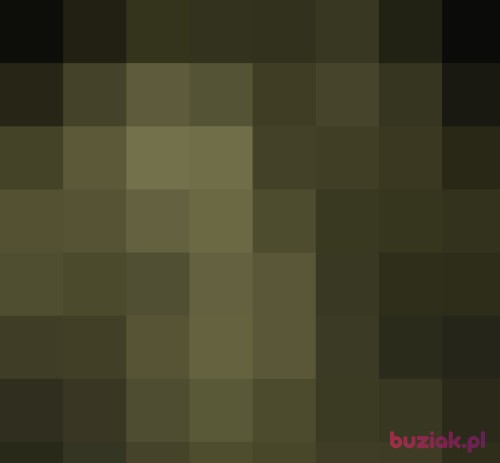 Szajbuxx, Male, 39 years, pomorskie